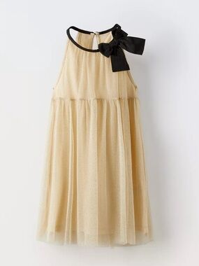 Zara Sparkly Tulle Dress